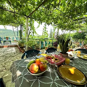 boungainvillea.albaniahotels.org/